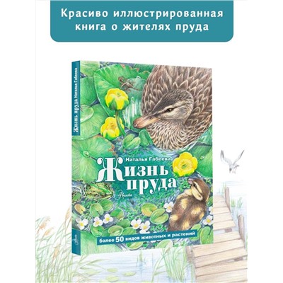 АСТ Габеева Н.М. "Жизнь пруда"