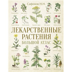 АСТ Сафонов Н.Н. "Лекарственные растения. Большой атлас"