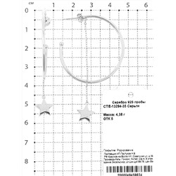 Серьги-пусеты из серебра родированные 925 пробы CTE-13294-35