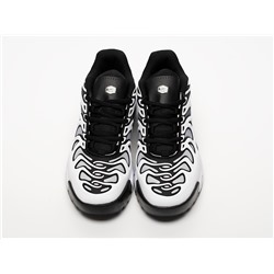 Кроссовки Nike Air Max Plus Drift