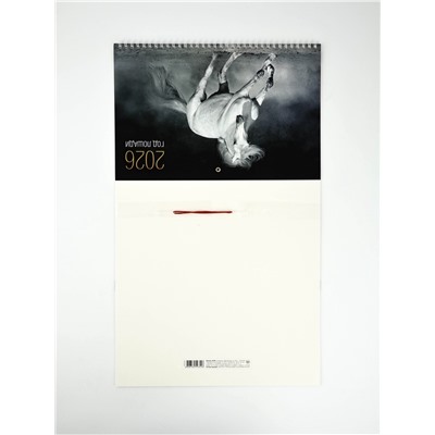 Календарь квартальный 2026 «Белый конь»