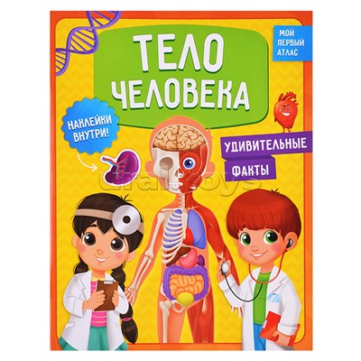 Мой первый атлас с наклейками. Тело человека. 22,5х29 см. 32 стр.