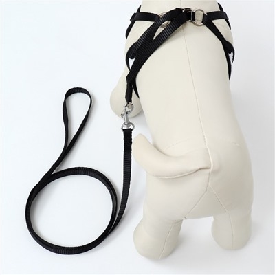 Комплект с мягкой шлейкой и бантиком, размер S, поводок 120×1.5 см, ОГ 23-42 см, серый