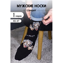 Носки мужские Гений (Черный)