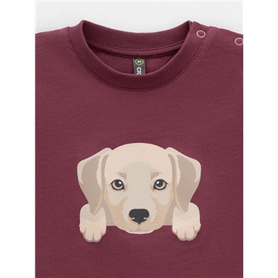 CROCKID Футболка КР 302907