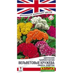 Целлозия Вельветовые кружева гребенчатая смесь (Код: 93607)