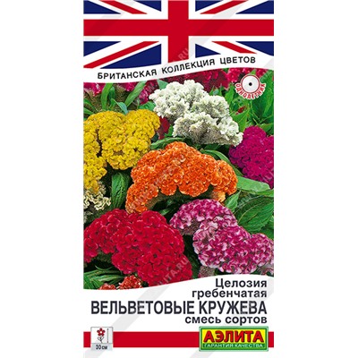 Целлозия Вельветовые кружева гребенчатая смесь (Код: 93607)