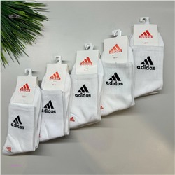 Носки женские 10 пар 1925801-1