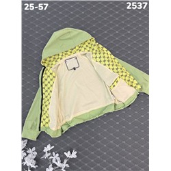 Ветровка 2537 зеленый