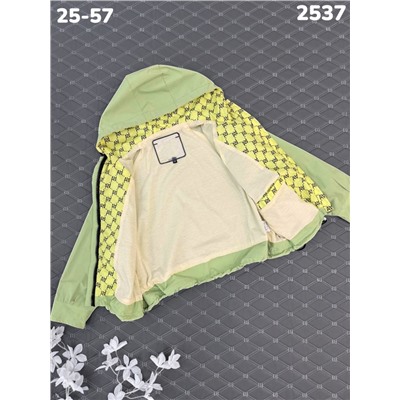 Ветровка 2537 зеленый