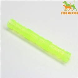 Жевательная игрушка для собак «Палка», 24.5 см, тренировочная, полая, жёлтая