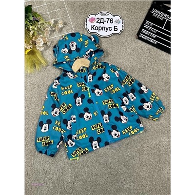 ветровка 2058300-1