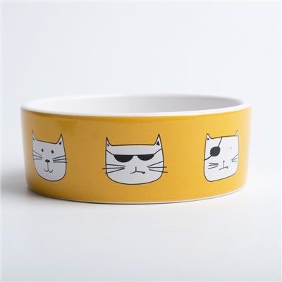 Миска «Опасные коты», 230 мл, 12.5×4.5 cм, керамика, белая, оранжевая