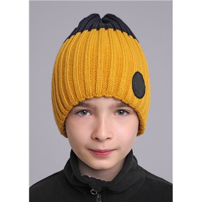 452999 CLEVER Шапка