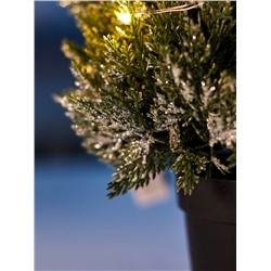 Фигура светодиодная «Можжевельник заснеженный» 35 см, 20 LED, от батареек AG13×3, свечение тёплое белое