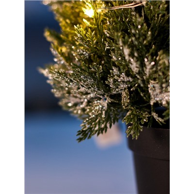 Фигура светодиодная «Можжевельник заснеженный» 35 см, 20 LED, от батареек AG13×3, свечение тёплое белое