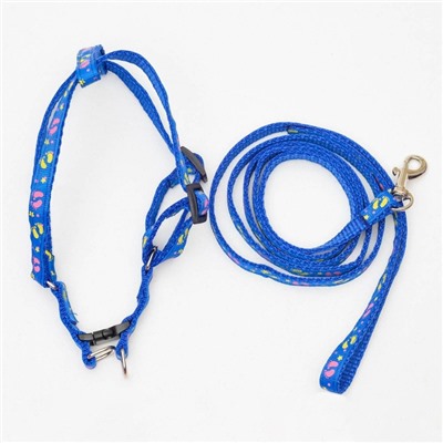 Комплект «Цветные следы», ширина 1 см, поводок 120 см, шлейка 23-35 см, синий