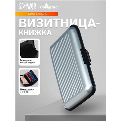 Визитница пластиковая, металлическая, с отделениями внутри, серебристая