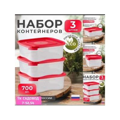Набор контейнеров #23013713