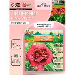 Лилейник Pink Vision, многолетник, корневище в пакете с торфогрунтом, р-р I, 1 шт.