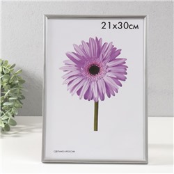 УЦЕНКА Фоторамка пластик Lida 21х30 см серебро