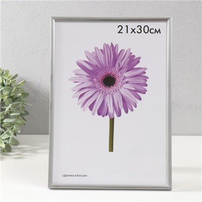 УЦЕНКА Фоторамка пластик Lida 21х30 см серебро