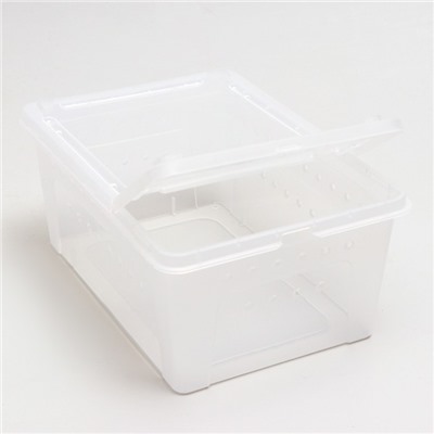 Переноска - отсадник для рептилий, 26×17.5×11.5 см, прозрачная