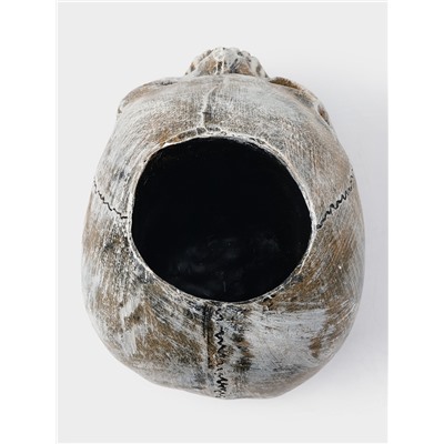 Ёршик для унитаза с подставкой «Череп», стальная ручка, 16×15×22 см, белый