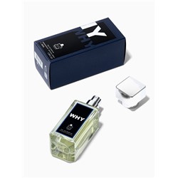 Парфюмерная вода мужская Milestone WHY, 35 мл