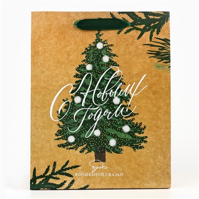 Пакет подарочный новогодний крафтовый «Winter», MS 18×23×10 см