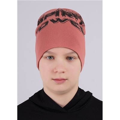 CLEVER Шапка
