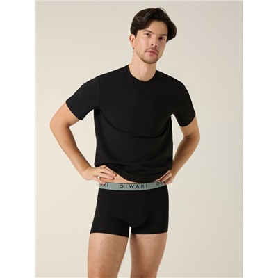 DiWaRi Фуфайка BASIC MEN MF 4024 (бандероль)