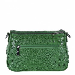 Сумка 270127-2 green Velina Fabbiana-Safenta