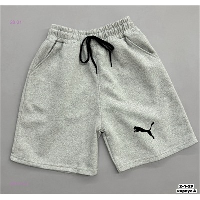 Шорты 2057813-3