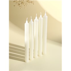 Свечи хозяйственные столовые «Белые», набор 10 шт., d=2 см, h=23 см, 10×4.5×24.5 см