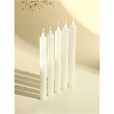 Свечи хозяйственные столовые «Белые», набор 10 шт., d=2 см, h=23 см, 10×4.5×24.5 см