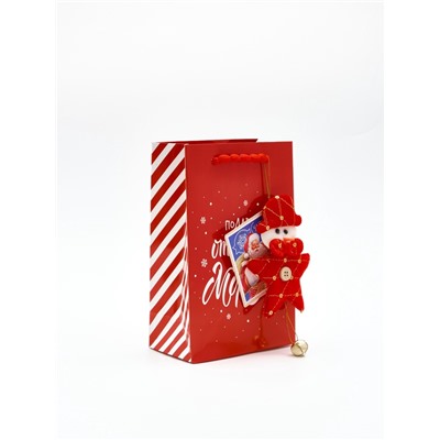 Пакет подарочный «Новогодний подарок», с ёлочной игрушкой и шильдиком, 18×23×11 см