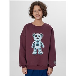 СВИТШОТ ДЛЯ МАЛЬЧИКОВ 123466