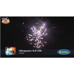 Фейерверк Р7293 Ватрушка (0,8" х 36)