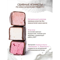 Птичка Томичка ассорти в темном шоколаде (жимолость\ваниль\земляника) / 230 гр / ТМ Территория тайги