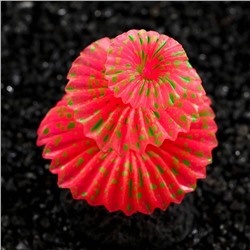 Декор для аквариума «Коралл на платформе» силиконовый, 5×5×8 см, розовый