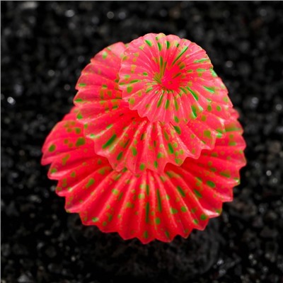 Декор для аквариума «Коралл на платформе» силиконовый, 5×5×8 см, розовый