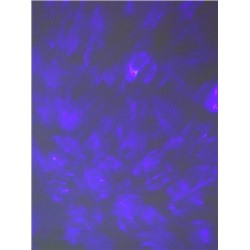 Проектор диско-шар ночник светодиодный классический, настольный 18х12 см / CW182609-18 /уп 36/