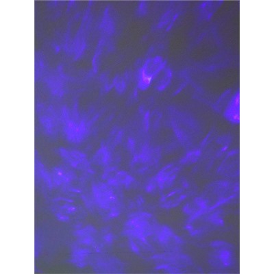 Проектор диско-шар ночник светодиодный классический, настольный 18х12 см / CW182609-18 /уп 36/