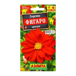 Семена цветов Георгина Фигаро махровая красная , Ц/П,7 шт.