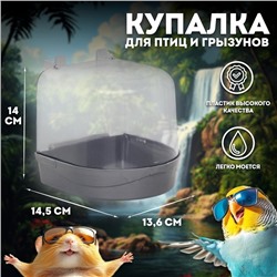 Купалка для птиц, 145×136×140, серебро