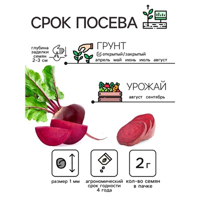 Семена Свекла «Египетская плоская», 2 г