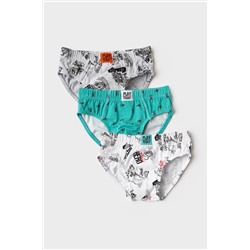 Трусы трикотажные для мальчиков - брифы, 3 шт в комплекте PLAYTODAY, 1243155