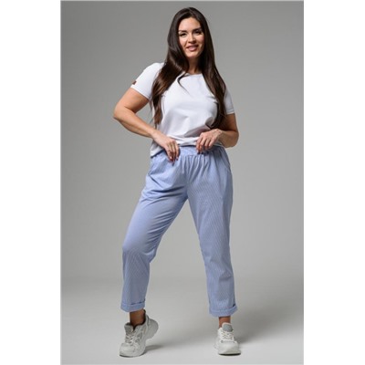 Брюки 9154 (Полоса голубая)