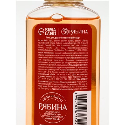 Подарочный набор новогодний: гель для душа, крем для рук и пилка для ногтей, аромат мандарин, URAL LAB